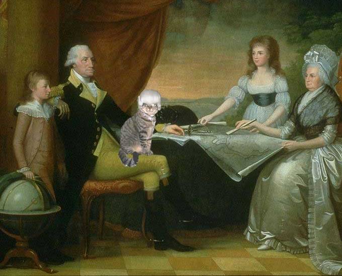 Cat Stuff All the Presidents' Cats