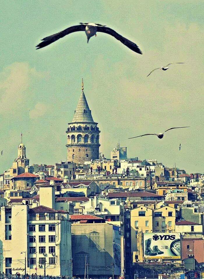 gezi seyahat tatil yerleri gezilecek yerler en guzel tatil yerleri ekim 2014