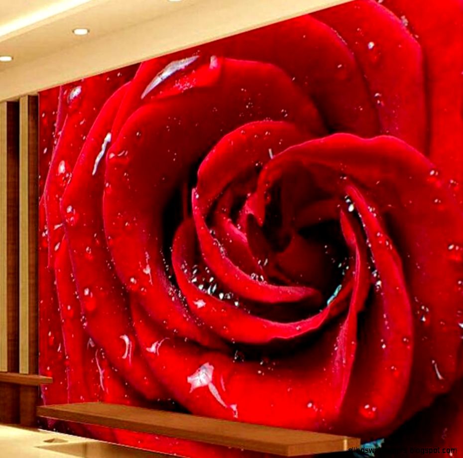 Online Shop Romatic Red Rose flower Murals Photo Wallpaper 3D Online Shop Romatic Red Rose flower Murals Photo Wallpaper 3D