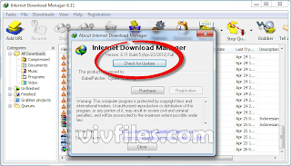 Internet Download Manager 6.11 Build 5 Beta Full with Patch