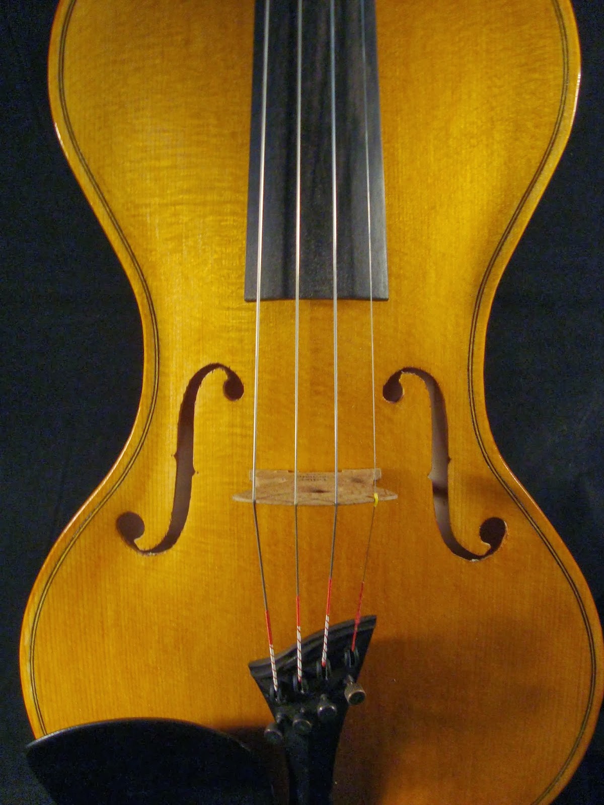 Hilmar Hansson Instruments Cornerless ElectroAcoustic Violin