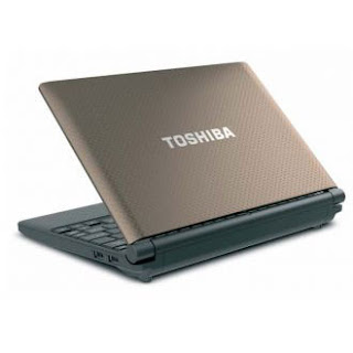 The Toshiba NB 550-1000G 1001 AMD C-50 Win 7 Starter Brown is ergonomically powered netbook processors AMD C-50 1.06GHz, 1 GB DDR3, 10.1-inch WSVGA display.