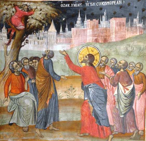 The Sycamore Tree of Zacchaeus in Jericho | MYSTAGOGY RESOURCE CENTER
