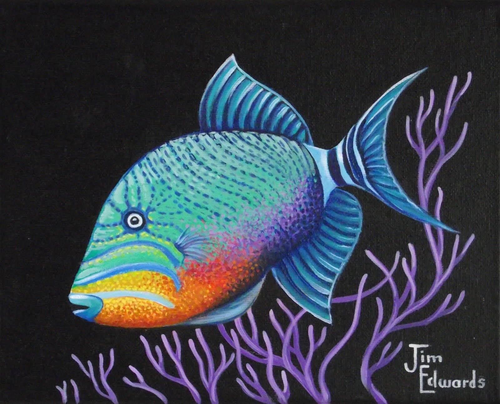 Queen Trigger Fish 8 x 10
