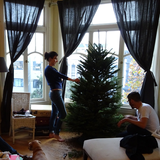 EmilyStyle How to Get a Christmas Tree in San Francisco