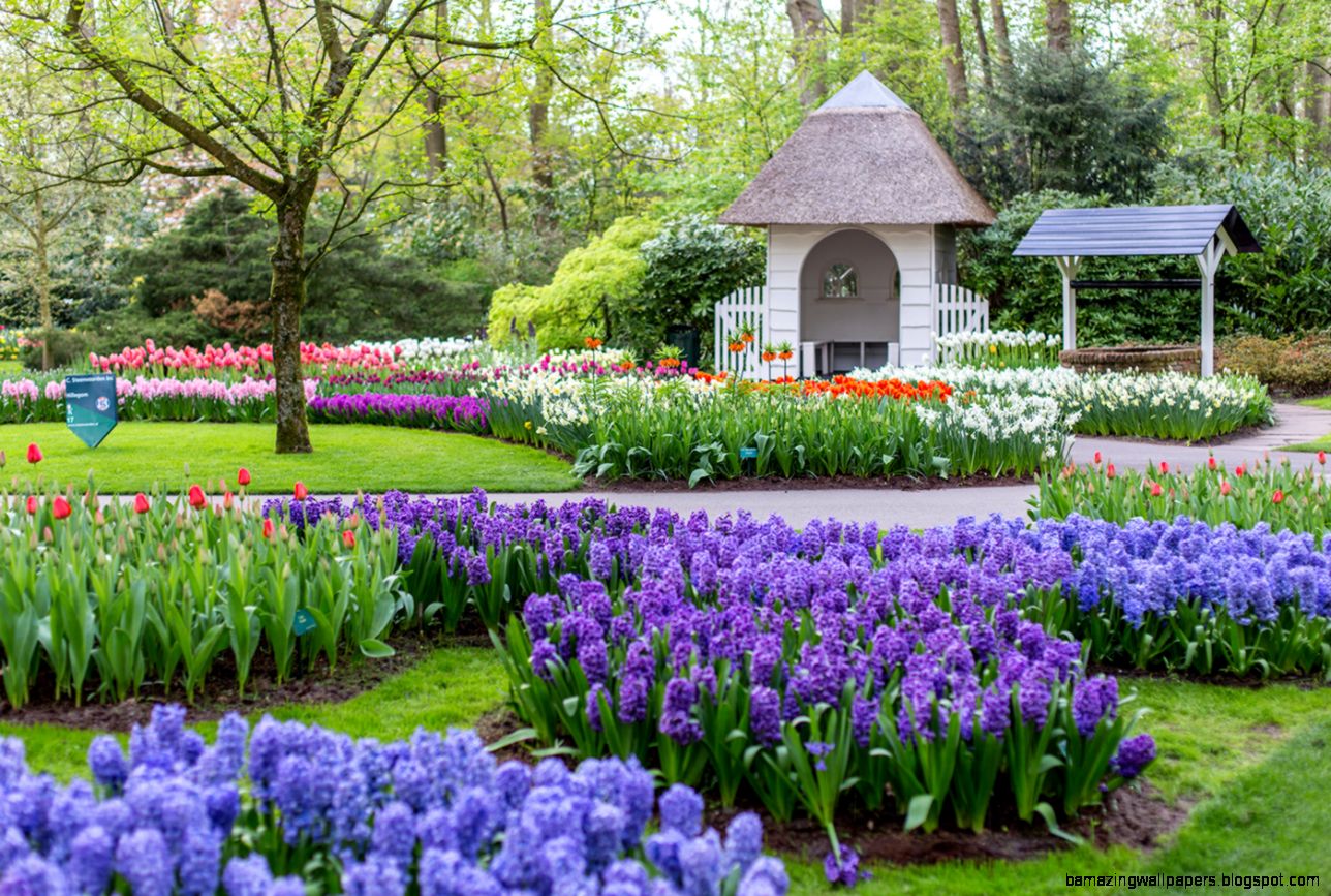 Keukenhof The Most Beautiful Spring Gardens in the World Keukenhof The Most Beautiful Spring Gardens in the World