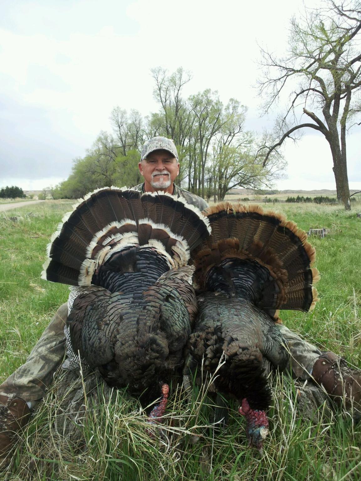 Merriam's Turkey Hunting Nebraska Spring Turkey Hunting Larry