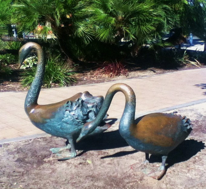 Bronze Swans by Sue Flavell and Gina Moore in 2000