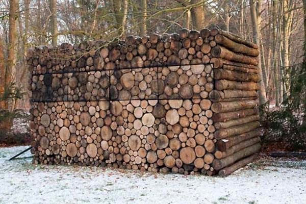 It Might Look Like A Normal Stack Of Firewood. But When You Step Closer… WHOA! It Might Look Like A Normal Stack Of Firewood. But When You Step Closer… WHOA!