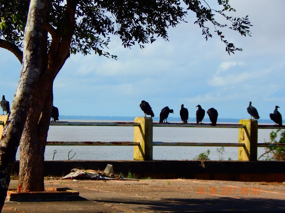 RIO AMAZONAS-AMAPÁ