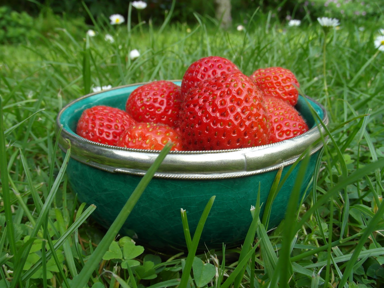 Cookery challenge Baked Strawberry Alaska