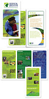 Brochure Layout Designs2