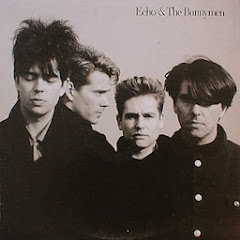 Echo and The Bunnymen