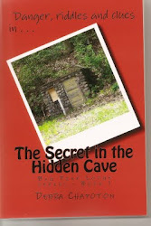 The Secret in the Hidden Cave