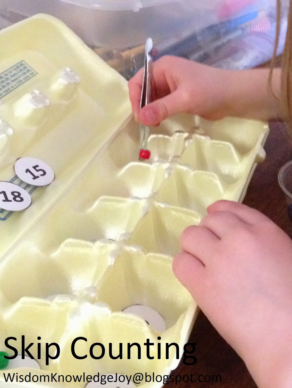 Egg Carton Skip Counting with Printables Thriving STEM