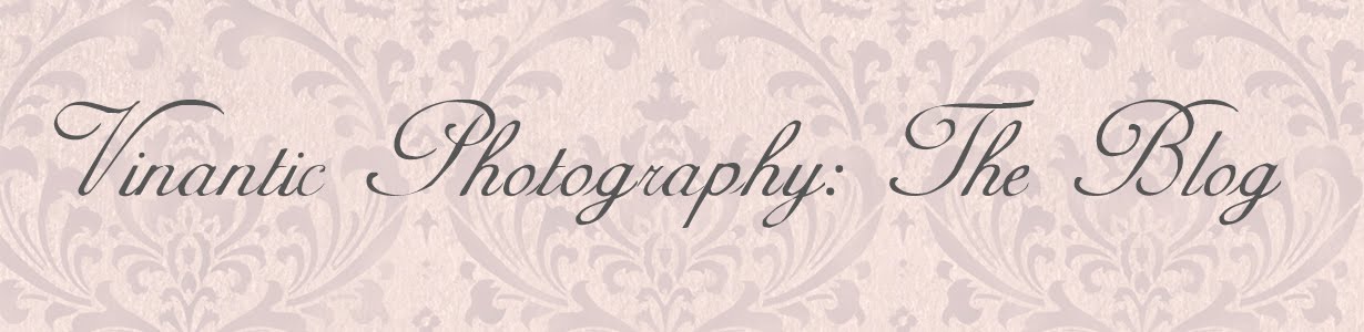 Vinantic Photography:The Blog
