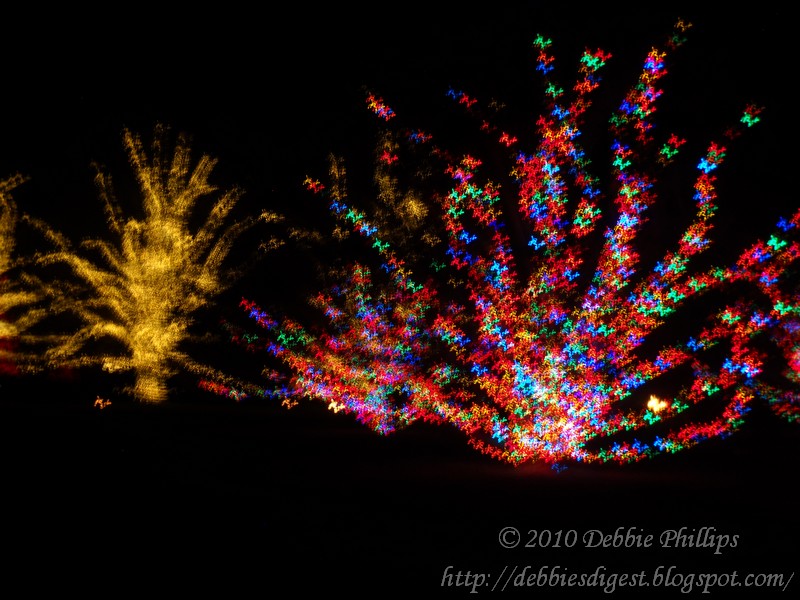 Longwood Gardens Christmas