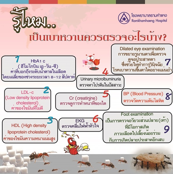 My Image 24