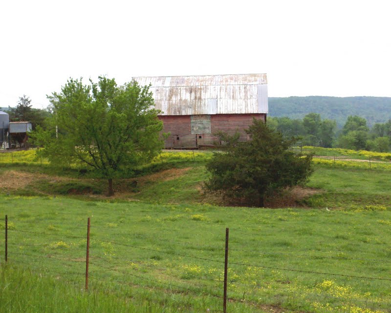 My Country Heaven Cottage A Small Town Kingston, Arkansas