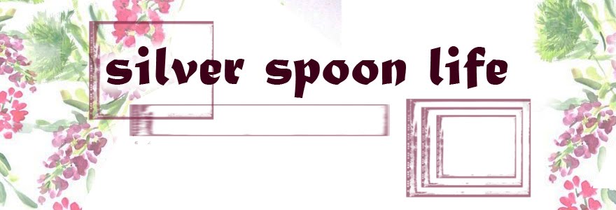 silver spoon life