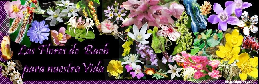 flores de bach para nuestra vida