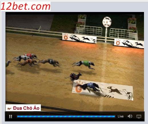 [Image: dua+cho+1.jpg]