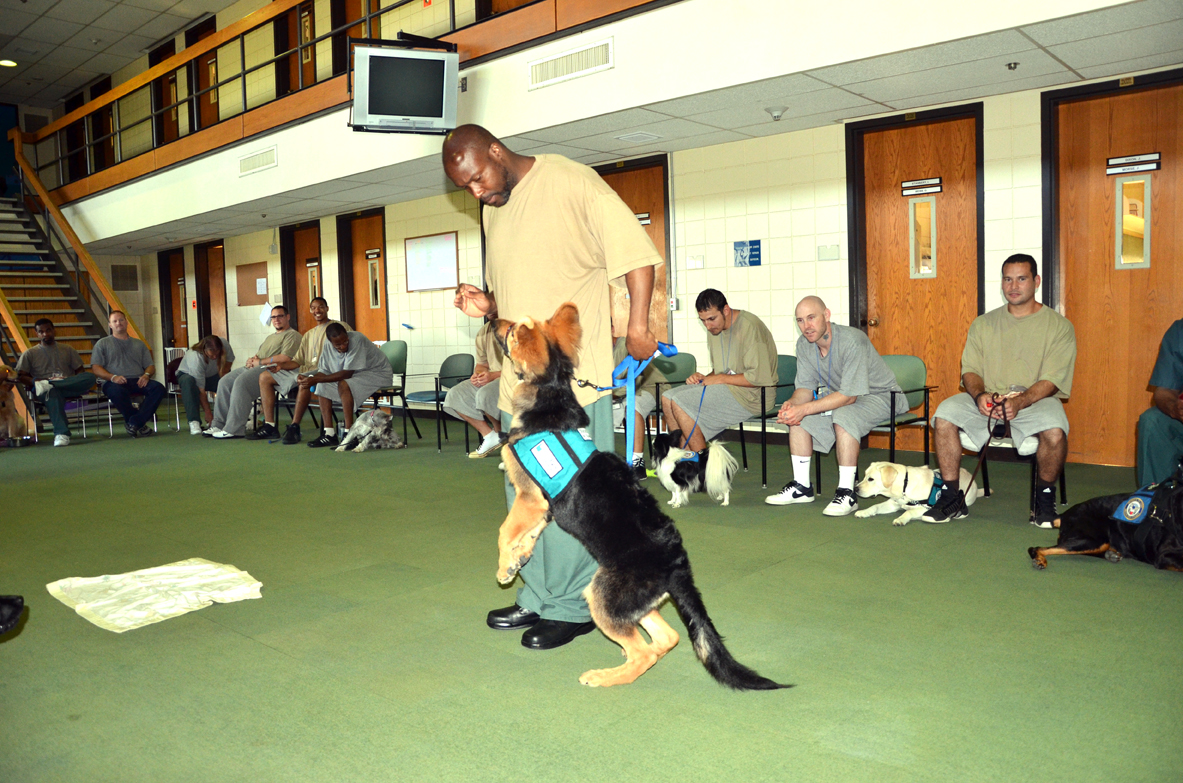 PRISON DOG PROGRAMS BRIDGES and PATHWAYS of COURAGE OSHKOSH