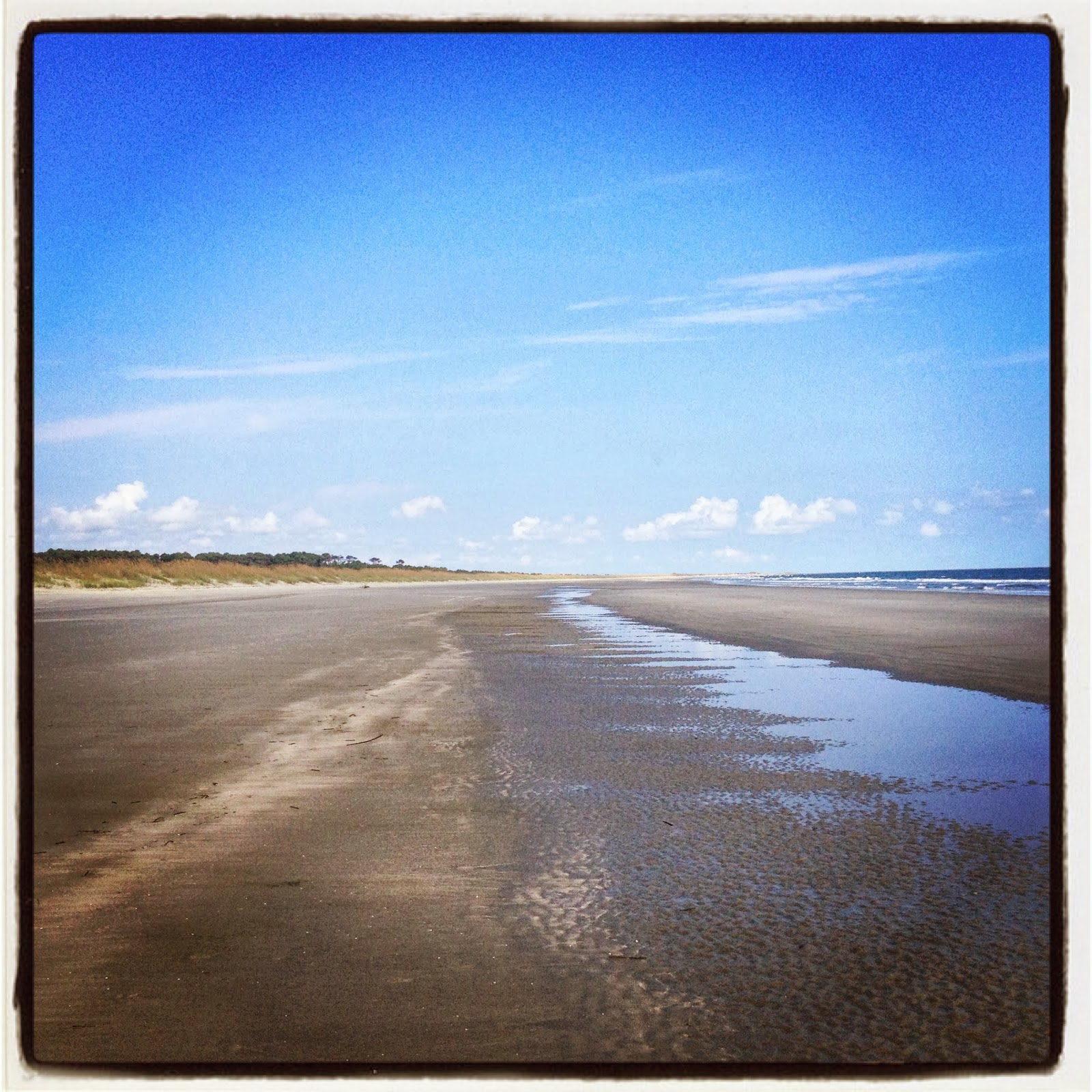 The Hunter and The Gatherer Waites Island Hunt and Gather