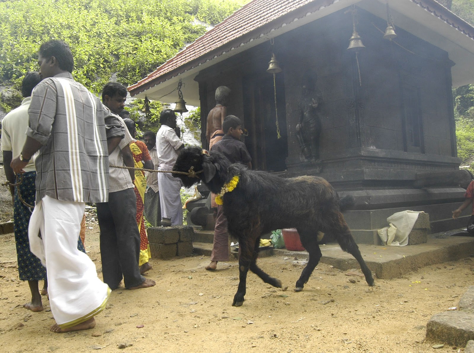 കണ ണ ട പ പ ഴ ബല മ ഗ