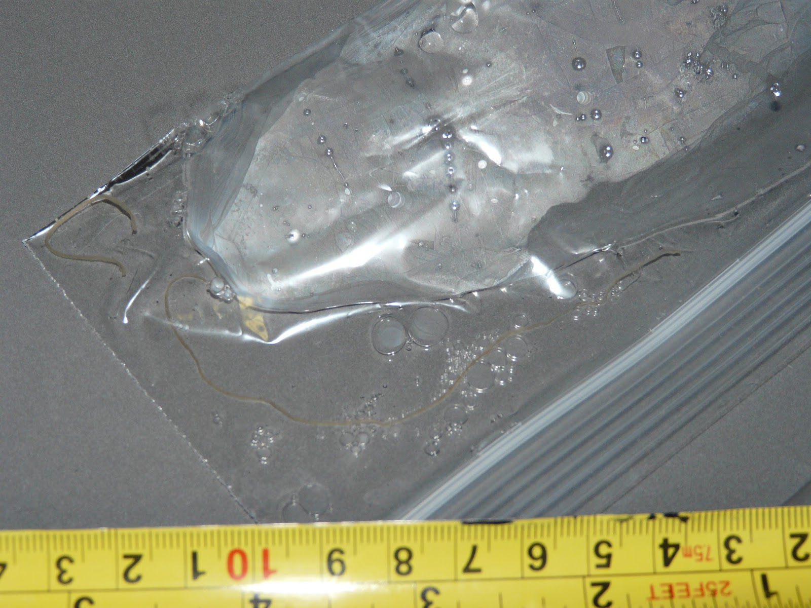 Horsehair Worm In Human Skin at Mary Plaisted blog