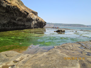 slimy Algae sea-water at Harihareshwar rock caves.