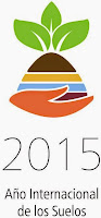 2015 Any Internacional del Sól
