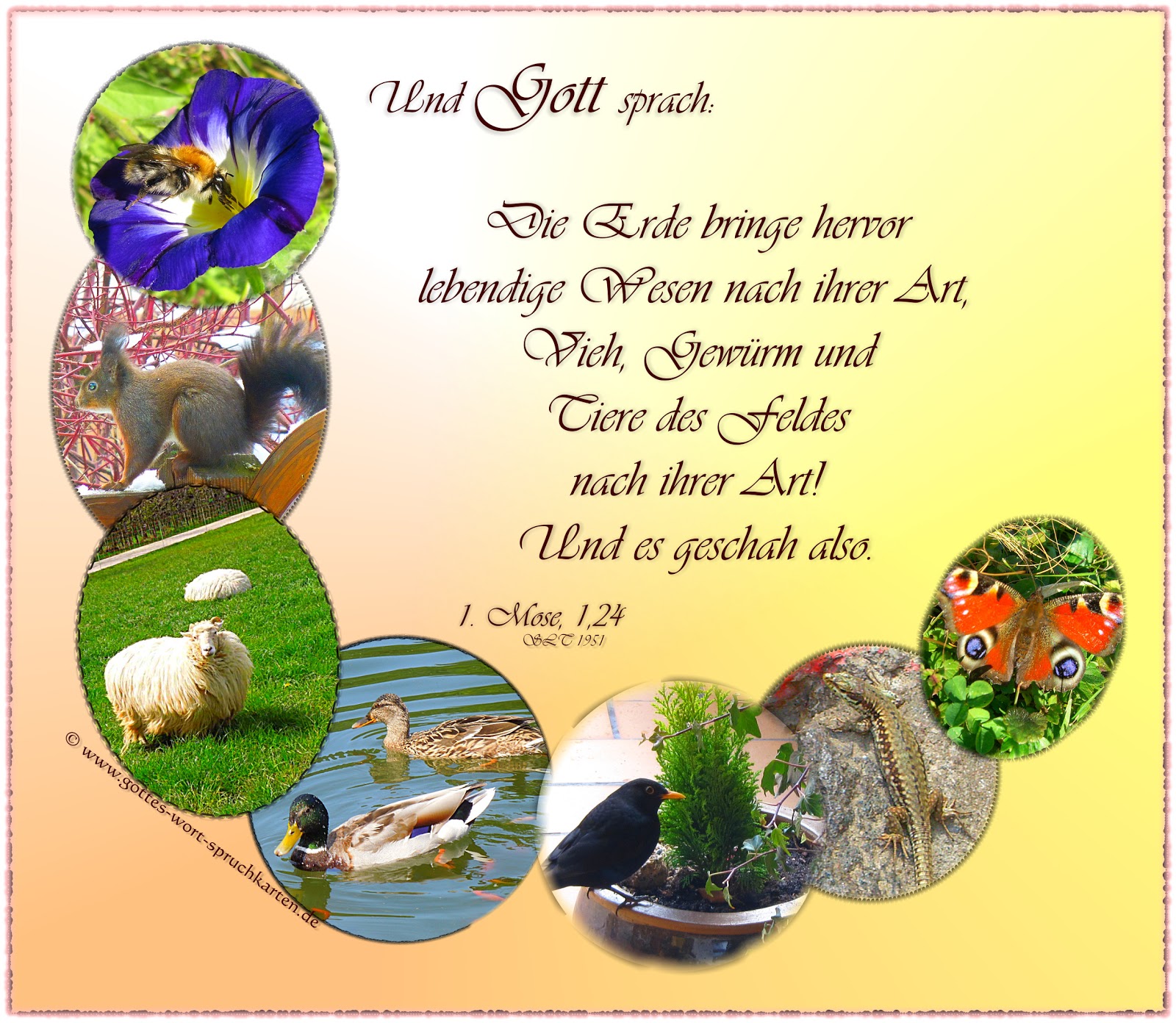 58+ Spruch Gemüsegarten, Abhängig von der bodenqualität und