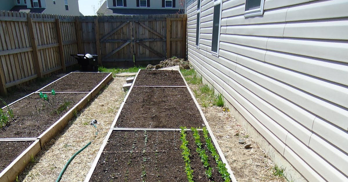 Thyme To Garden Now Garden Tour Mid April