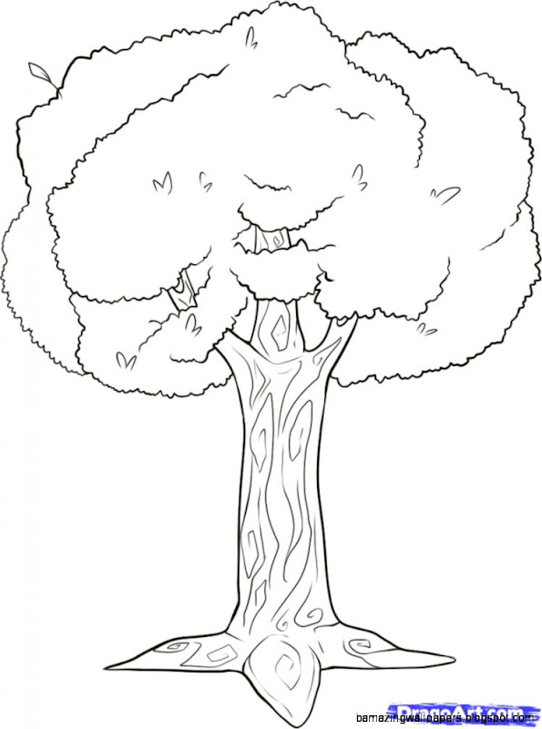 How to Draw Branches Step by Step Trees Pop Culture FREE How to Draw Branches Step by Step Trees Pop Culture FREE