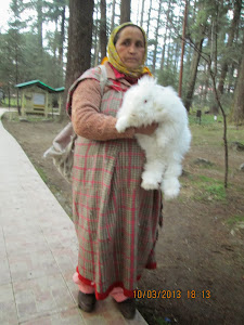 Local lady with a "ANGORA RABBIT" for tourist photographs in "Van Vihar"