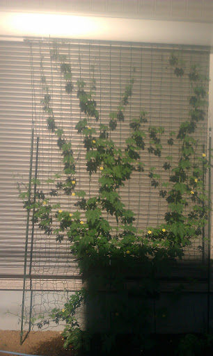 20110720-IMAG0113.jpg