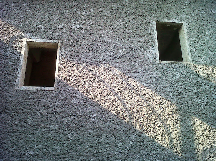 SERVICIOS INTEGRALES EN LA CONSTRUCCION SERVICIOS INTEGRALES EN LA CONSTRUCCION