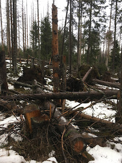 Portugal Please Switch The Lights Off When You Leave A