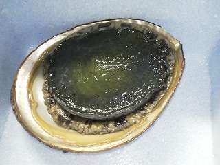 20120822-NEC_0075.jpg