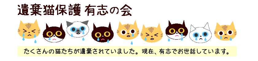 遺棄猫保護 有志の会