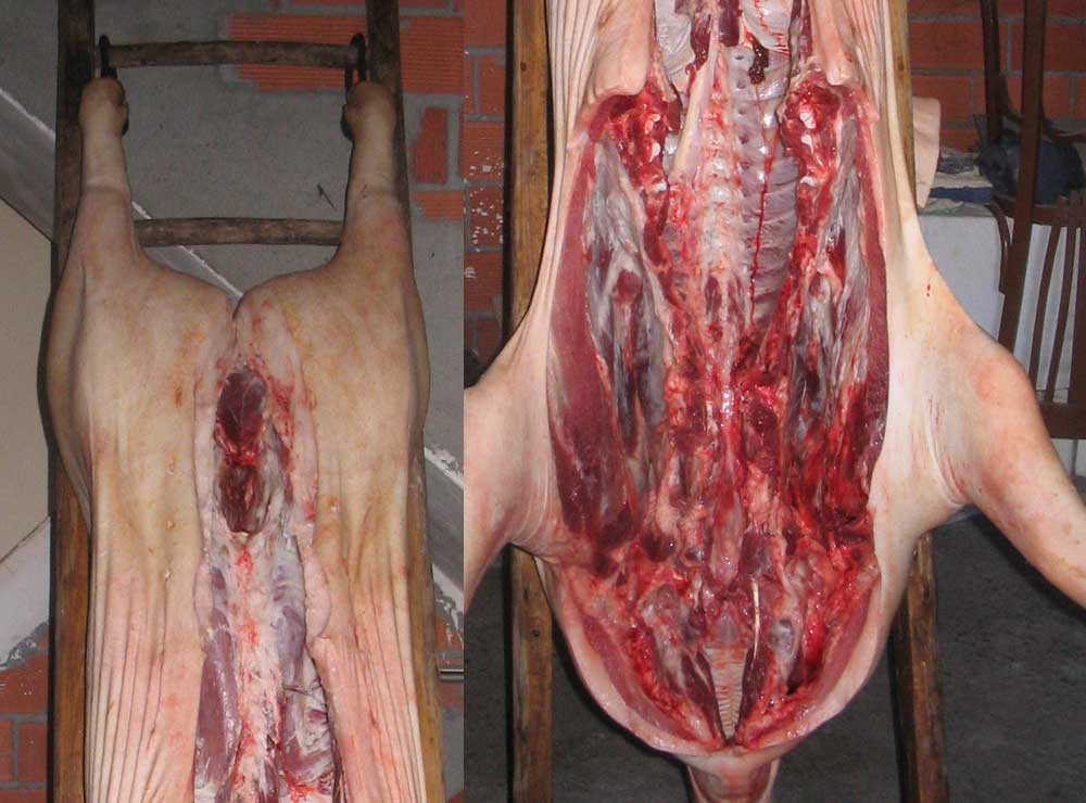 Como adelgazar a una alimentación frecuente