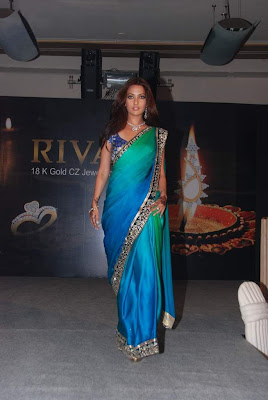 Bollywood Actress Riya Sen Saree Photos