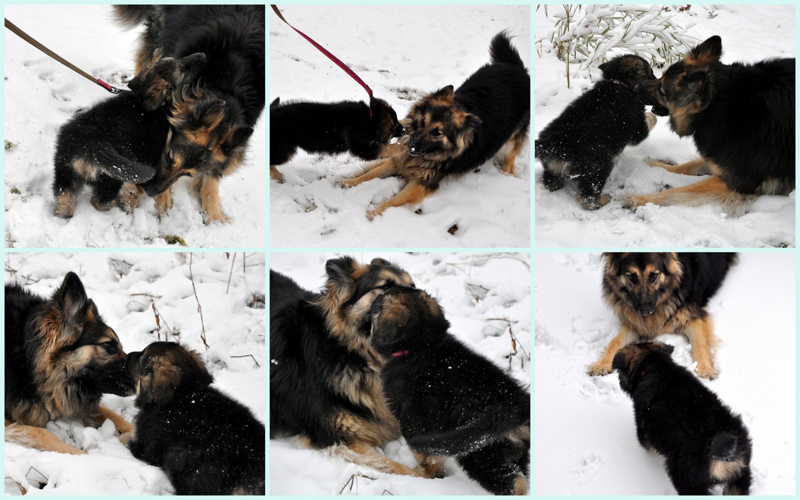 Silvie Delux Perfect Breasts Dripping with Cum