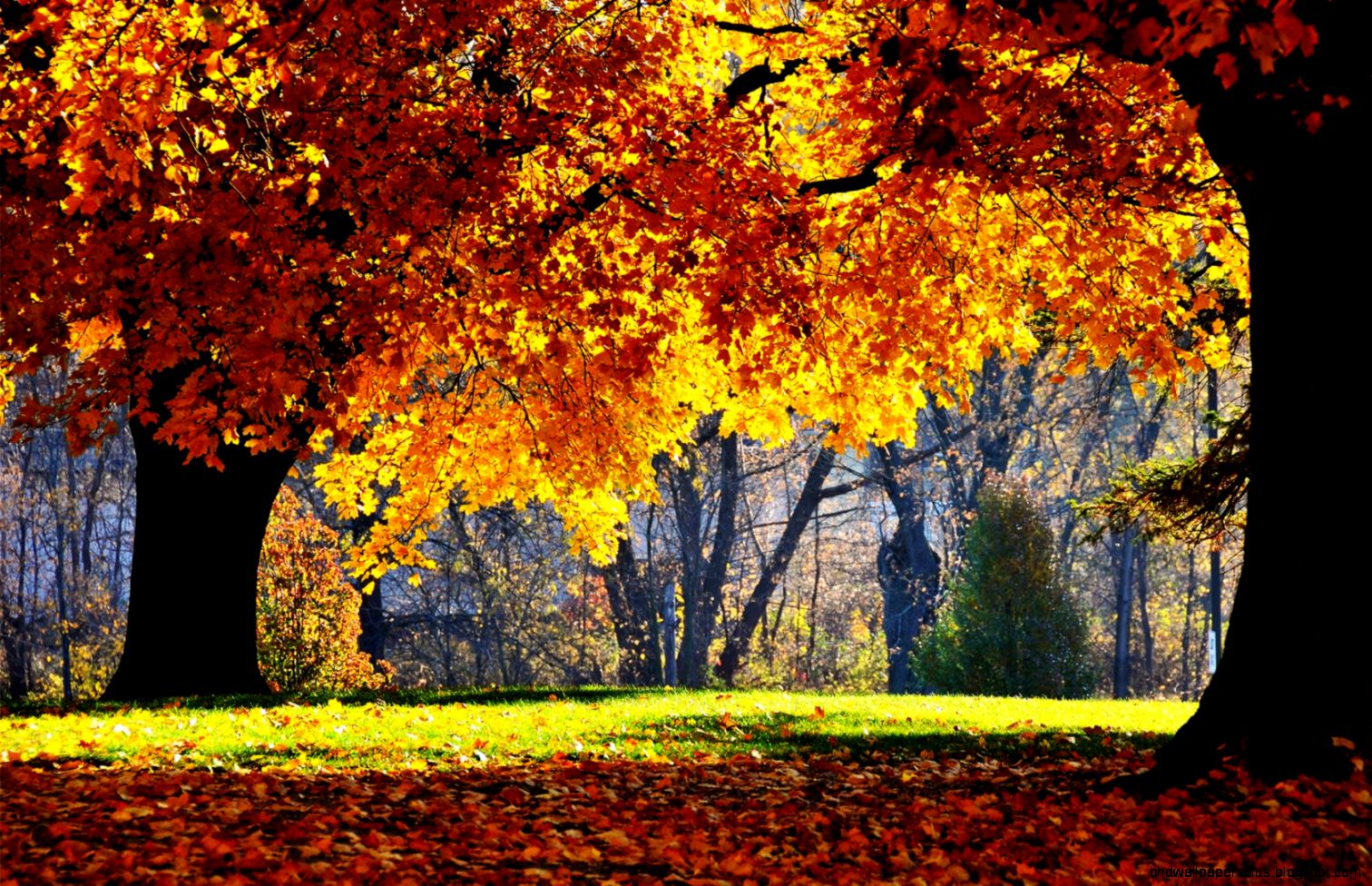 Beautiful Autumn Wallpapers Full HD Pictures Beautiful Autumn Wallpapers Full HD Pictures