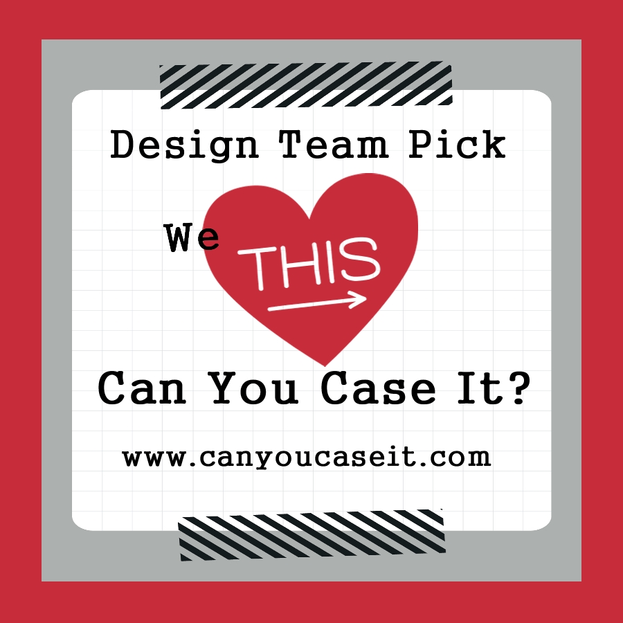 Can You Case it Design Team Pick