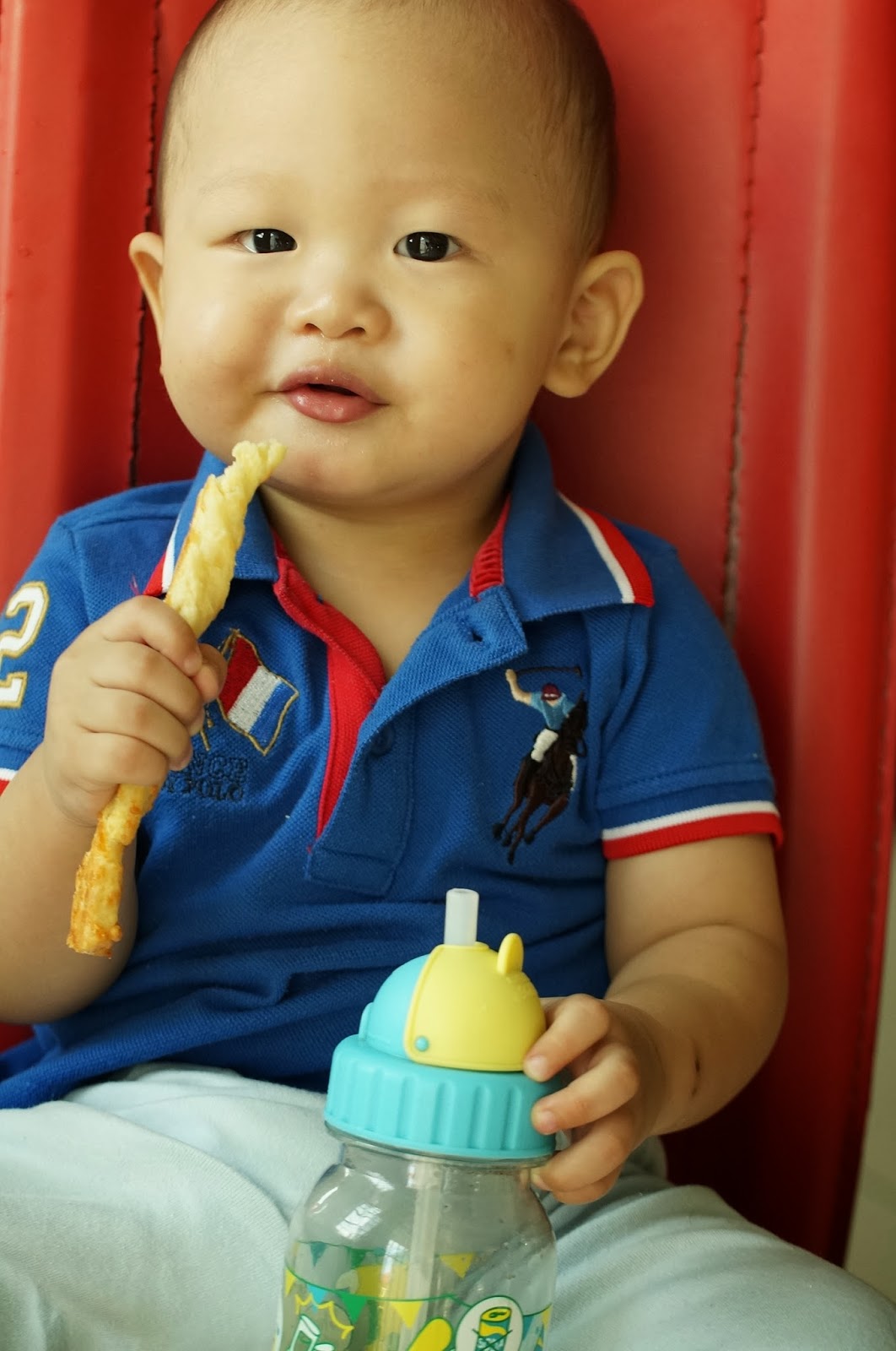 Journal of a nutritionist mom Cheese sticks for baby