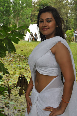 Hot Tamil Actress in White Saree Photos+ Actress in Saree Navel Show Photos