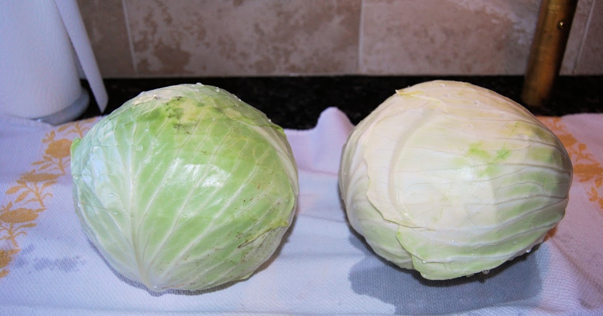 Greek Fusion Cuisine Cabbage rolls in Avgolemono (egg and lemon sauce)
