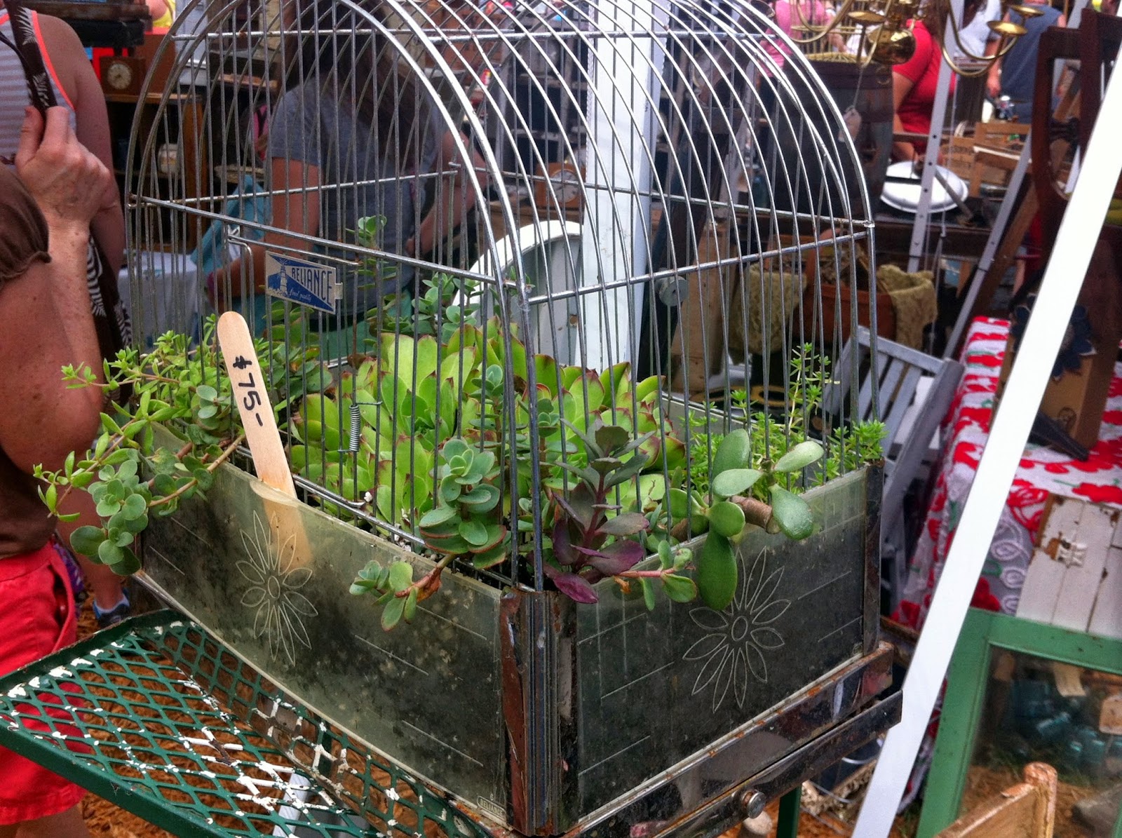 Just Another Hang Up A Picker's Paradise...